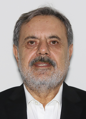 Mehmet Hasan Güneysu